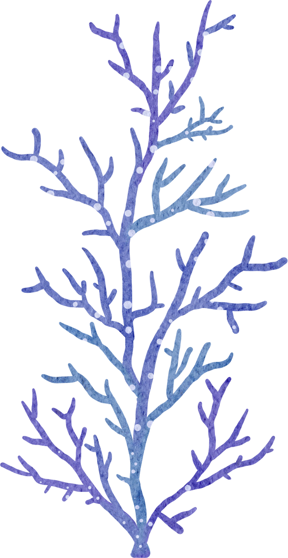 blue coral clipart