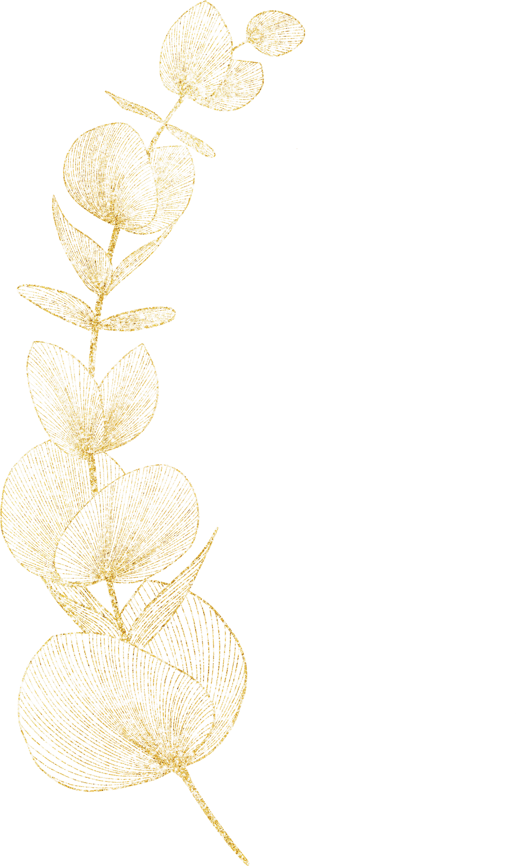 Gold Eucalyptus Leaf