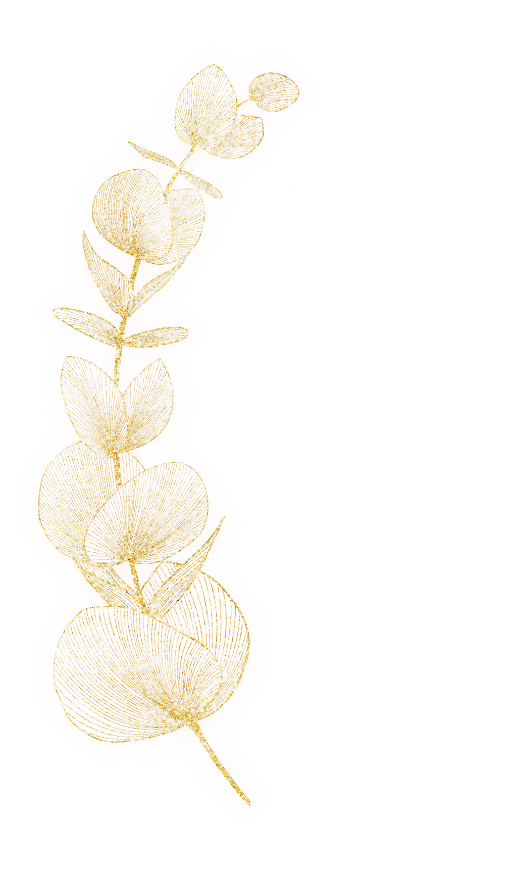 Gold Eucalyptus Leaf